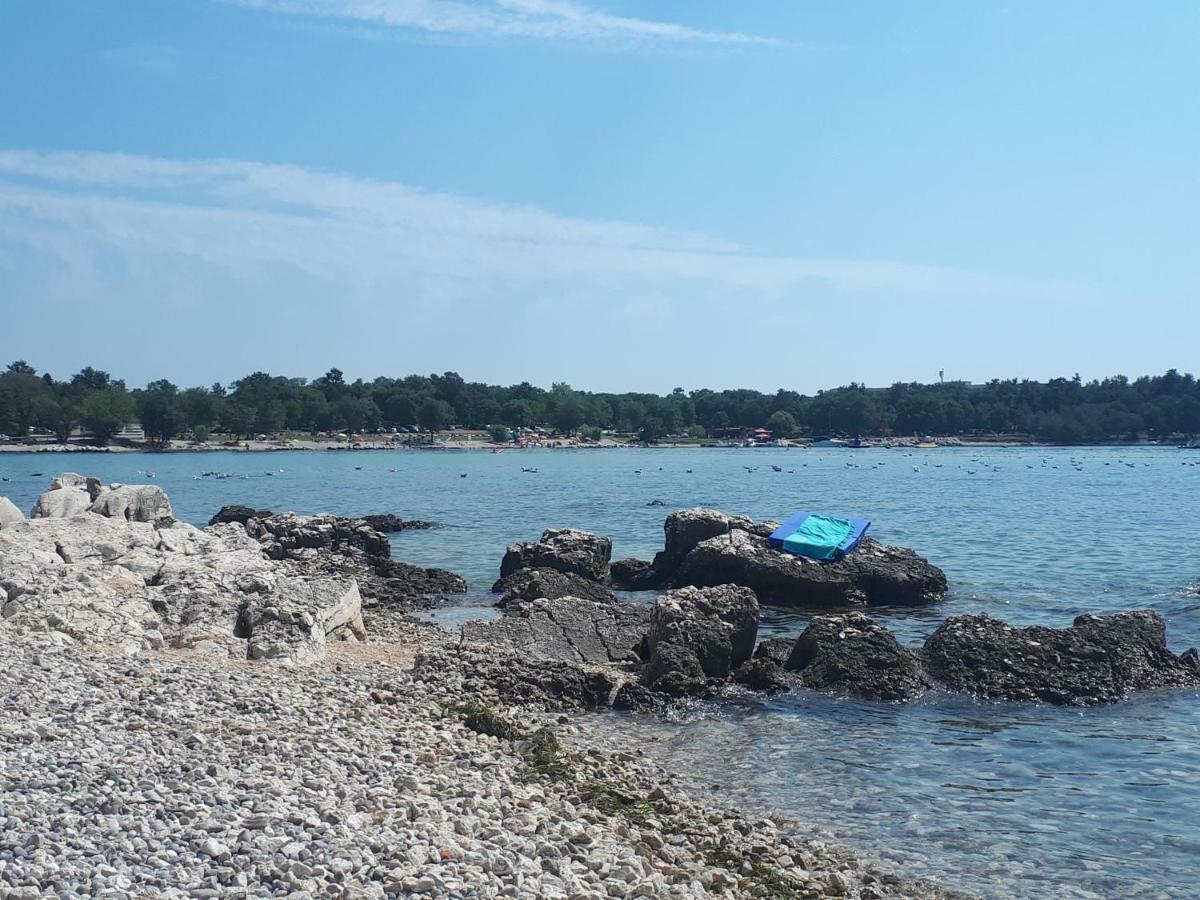 Apartment Terra Rossa Kaštelir Εξωτερικό φωτογραφία