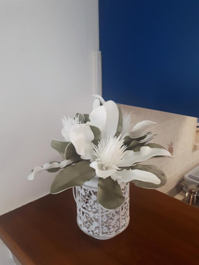 Apartment Terra Rossa Kaštelir Εξωτερικό φωτογραφία